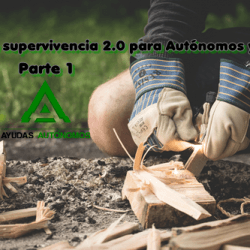 guia-de-supervivencia-2-0-para-autonomos-y-pymes-portada