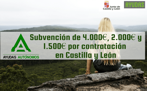 Subvención en Castilla y león